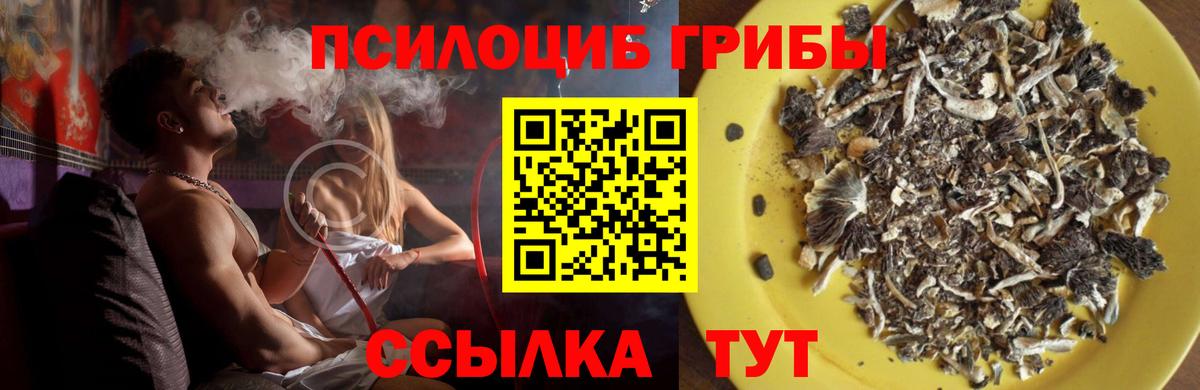 Галлюциногенные грибы Magic Shrooms  Вход с VPN  Псилоцибиновые грибы Cubensis  Сокол 