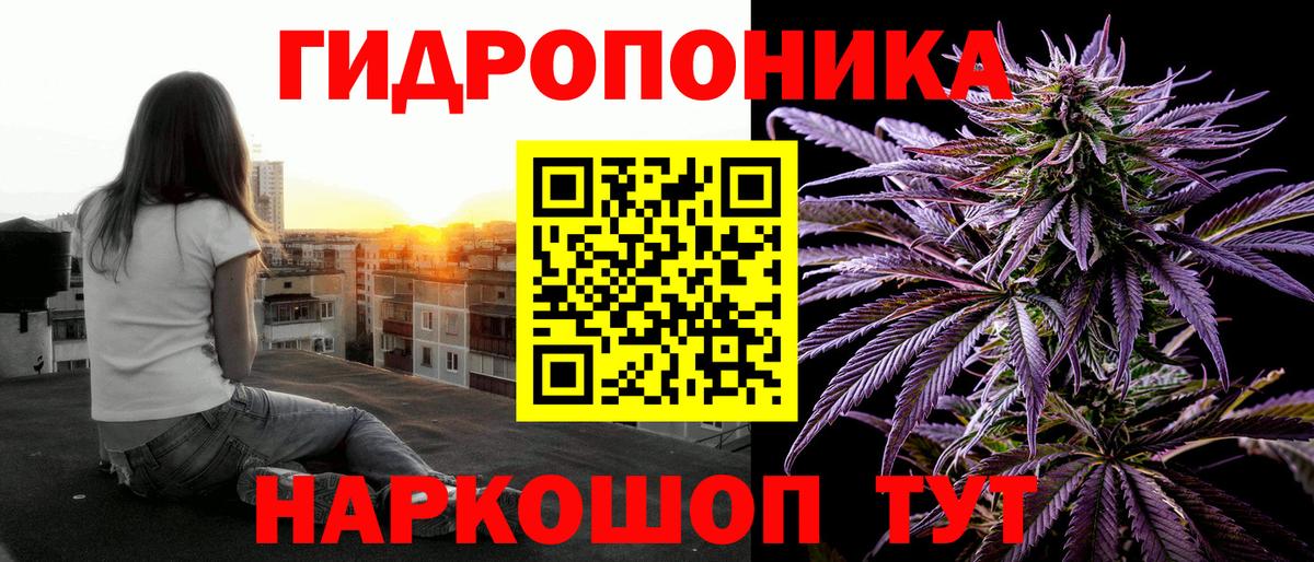 МАРИХУАНА сатива  Вход с VPN  Канабис индика  МАРИХУАНА сатива  Сокол 